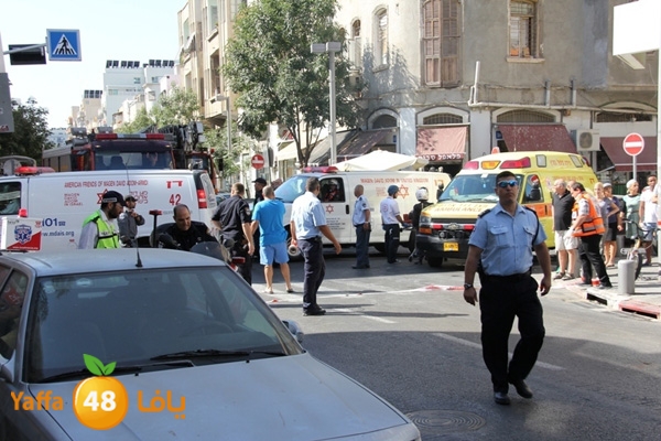 mabna inu910y (15).JPG